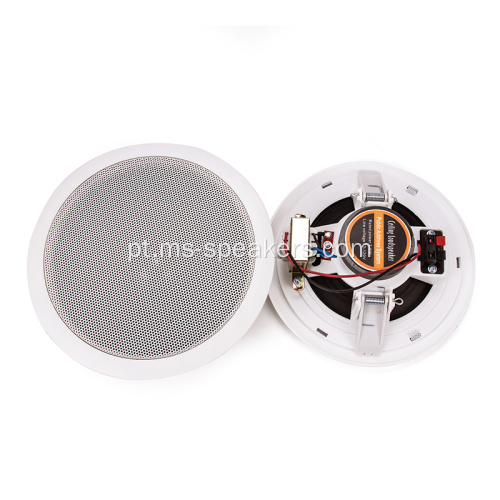 Sistema PA 100 Voltline Home Theatre Ceiling Speaker